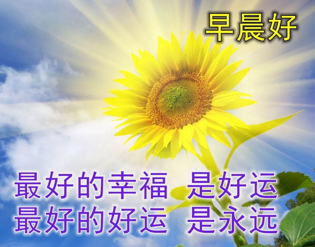 冬天暖暖的早晨好祝福语表情图片大全 愿你身心安康、喜乐平安图片