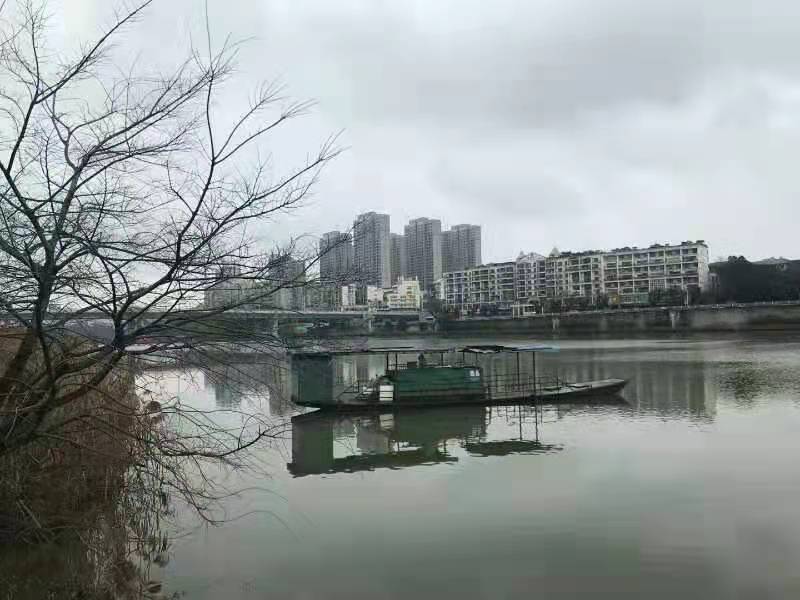 贺圣朝·雨水思乡