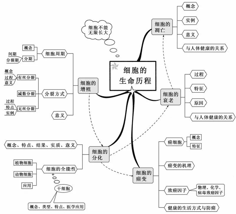 草履虫结构图(初中生物：重要知识点图解，内容清晰明了、简单易懂)