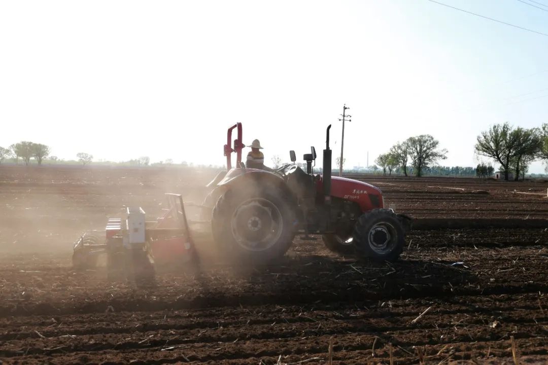 线上展览|“劳动最光荣”主题摄影作品线上图片展（十五）
