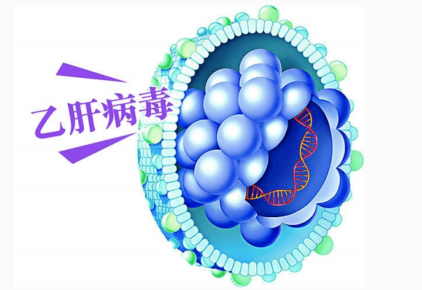 体检发现两对半异常，得知有乙肝但不知该怎么办？肝病医生告诉你