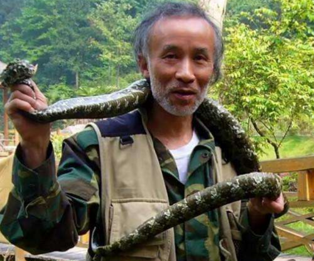 1989年,他发现价值百万的莽山烙铁头,被咬20多次,如今生活怎样