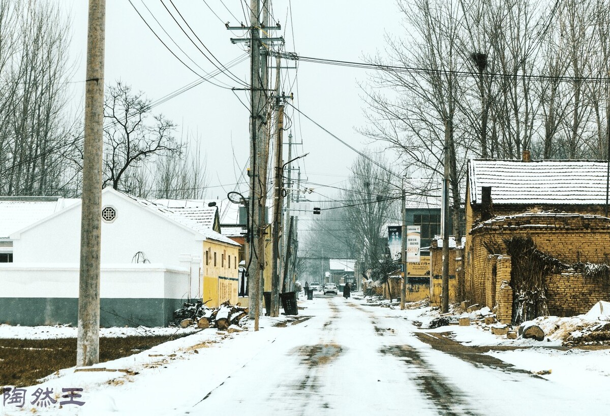 红颜易老，寻梦千年，浅情人不知