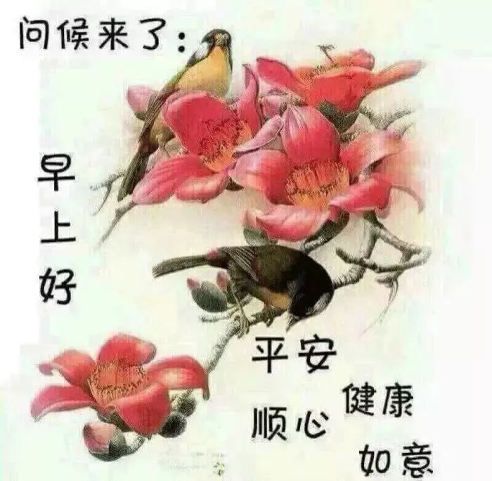 早上好表情大全 复制你的快乐 粘贴你的幸福 健康才是宝 快乐永不老图片