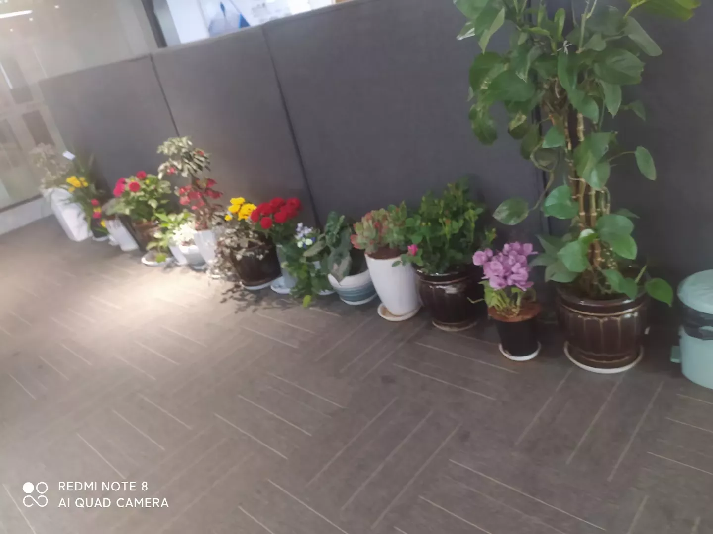 我是做公司前台的，自己挖坑给自己招来了个大河马同事，我这位同事呢