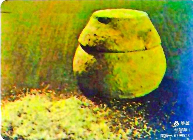 黄镇山：世界陶稻黍文明起源中国万年前