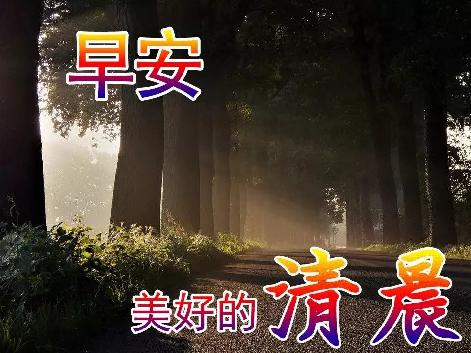 朋友圈清晨早安漂亮图片问候祝福语 早安吉祥如意、平安喜乐图片