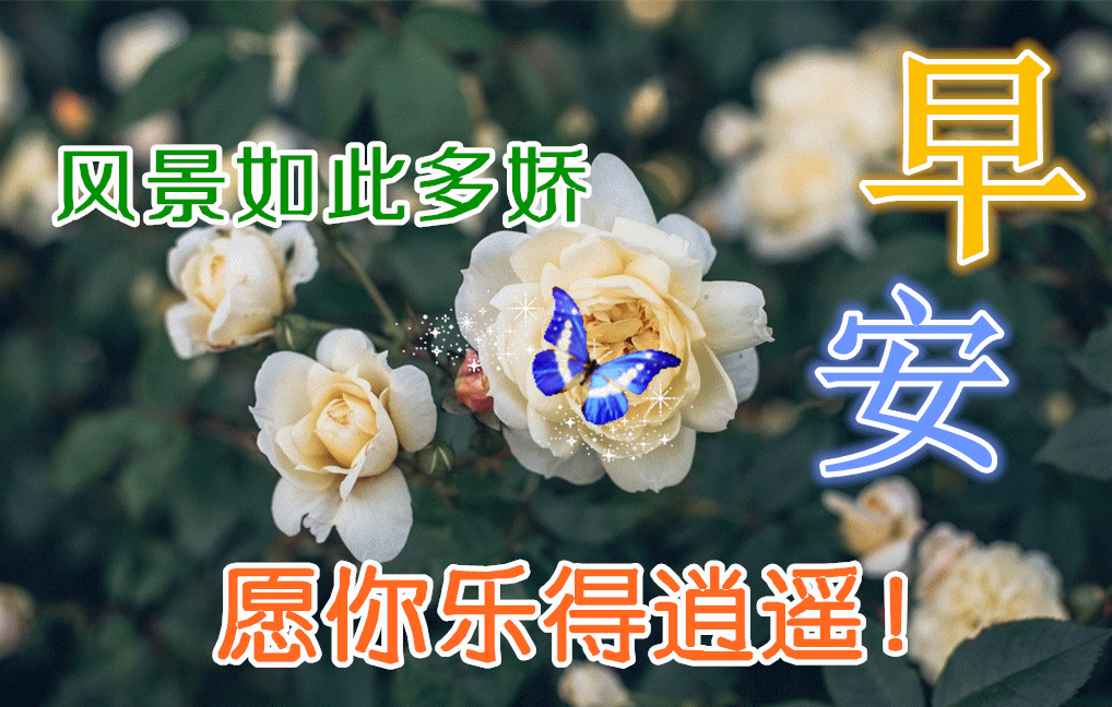 微信早安表情包大全 快乐永不老，健康才是宝，善待自己，保持微笑图片