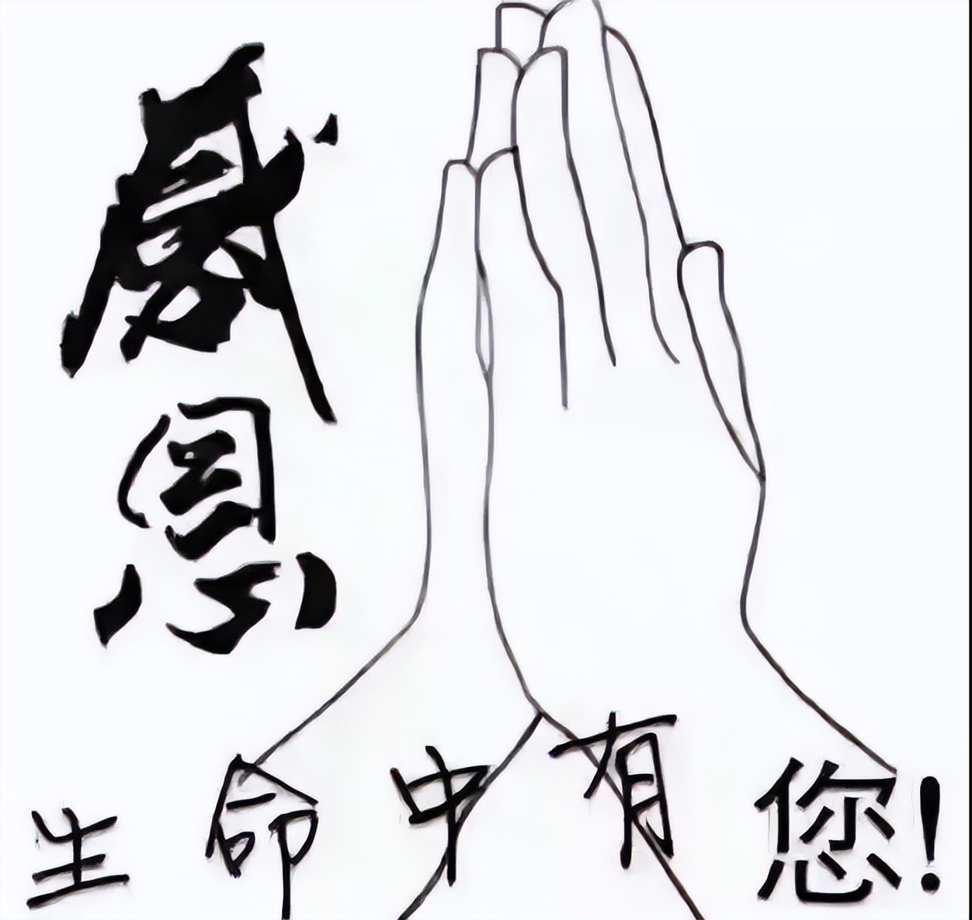 周末最新早上好表情包，清晨的问候，牵挂的你，感恩有你图片