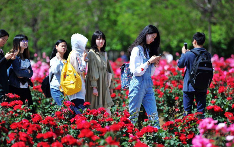 大学校园也有“潜规则”，辅导员一般不会明说，大一新生需要注意