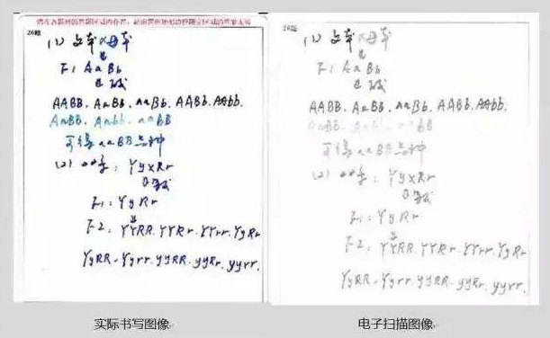为啥高考涂卡非得用2B铅笔？来看扫描之后的效果，考生恍然大悟