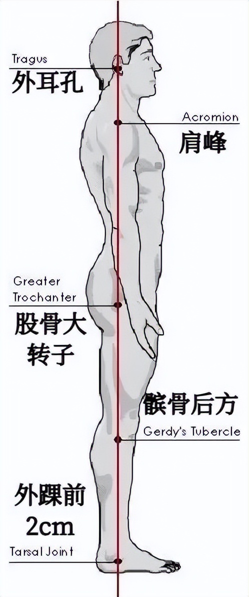 5个动作纠正“低头族”头前伸的不良体态