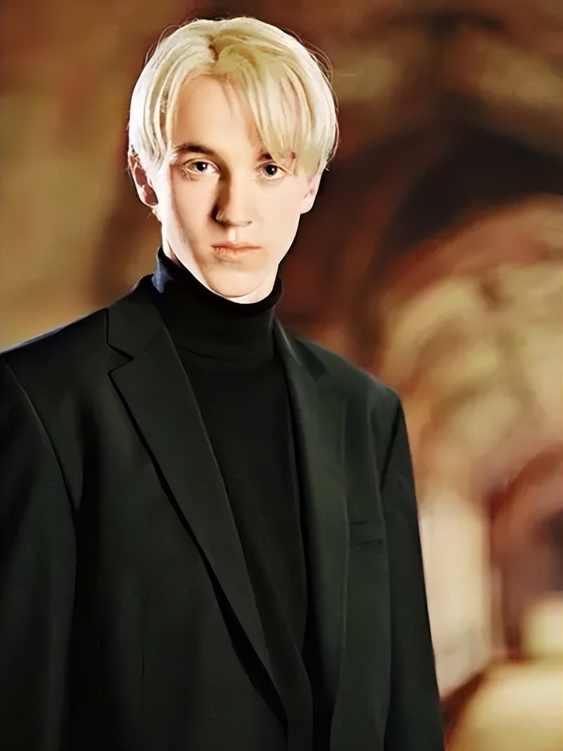 《哈利·波特》主要人物MBTI分析