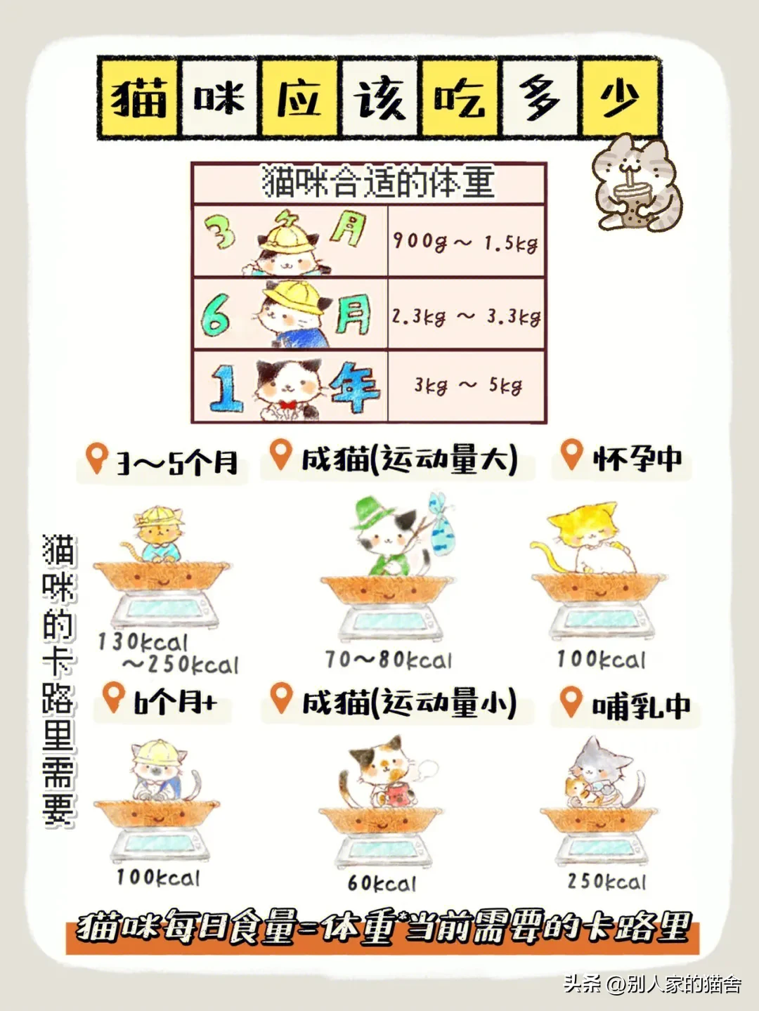 判断猫咪胖瘦的方法一张图(猫咪胖瘦自查注意太胖太瘦都不好)