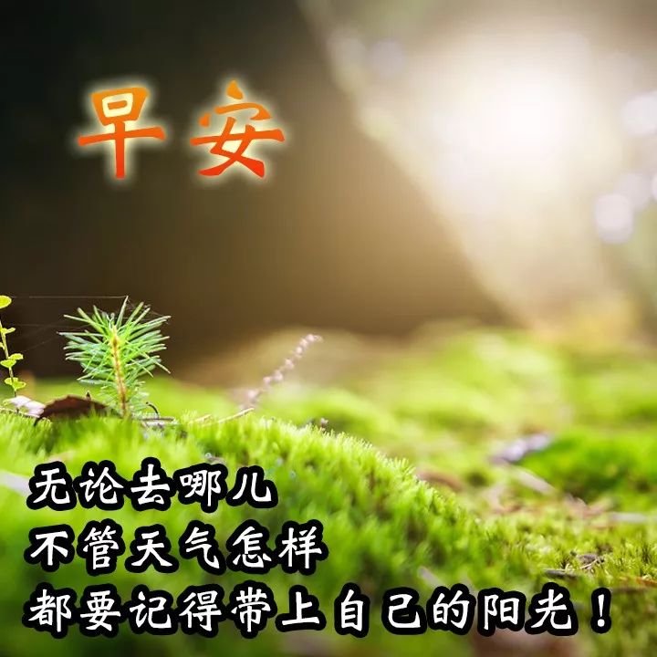 清晨聊天不用打字的祝福图片 早上好，记得带上自己的阳光图片