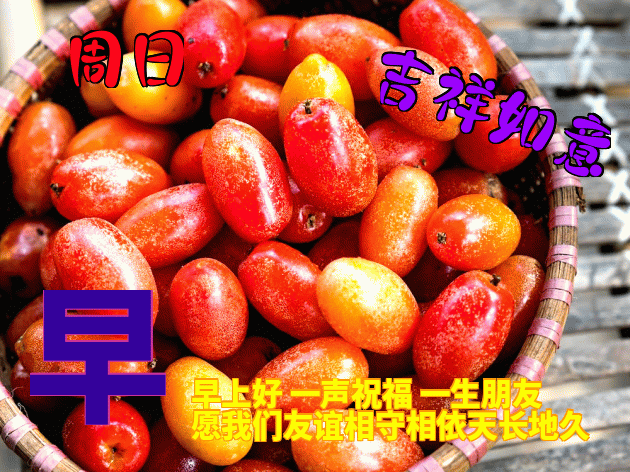 周末早上好早上好问候语大全 早上好表情包 天天好运道，日日福星照图片