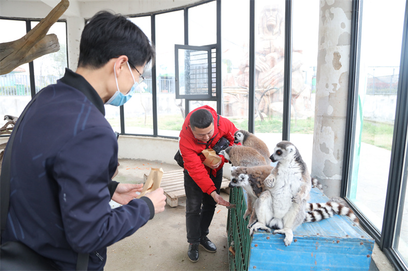 虎福齊臨門，春風(fēng)踏青來(lái) 臨泉魔幻動(dòng)物園4月1號(hào)恢復(fù)開放