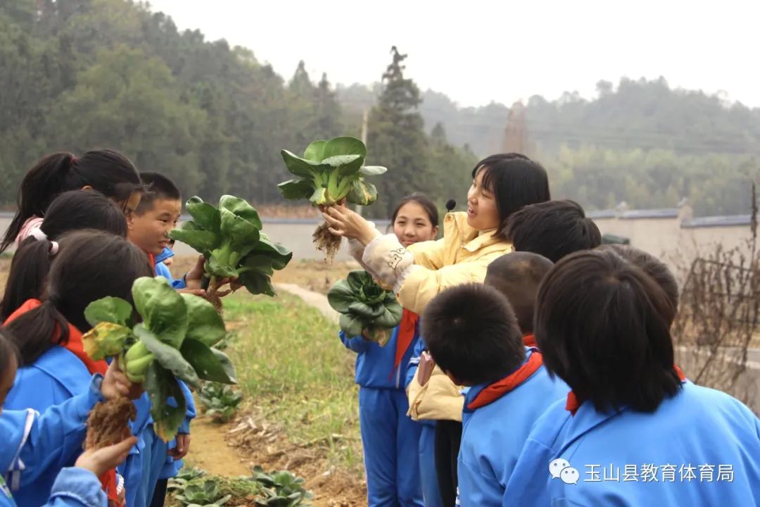 玉山县仙岩小学深入推进劳动教育实践活动纪实