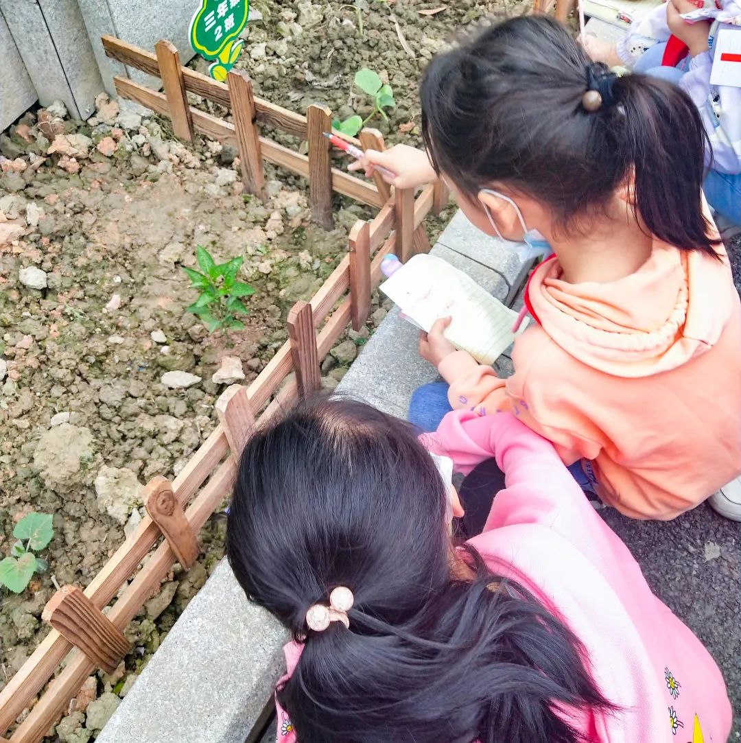 黄甲小学开展“人人参与科技节，我的科技节我做主”科技节活动