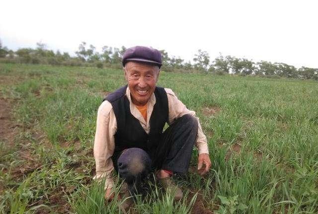 男人到了七十岁最需要什么(男人到了70岁最需要什么)