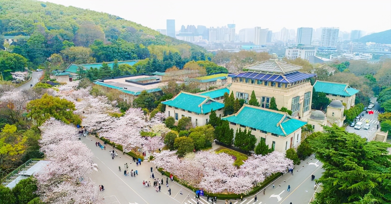 武汉大学信息管理学院（双一流名单还没公布）