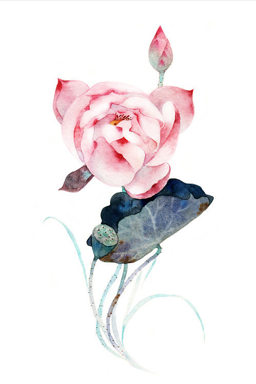 荷风莲香，史上最唯美的60句荷花古诗词（建议收藏）