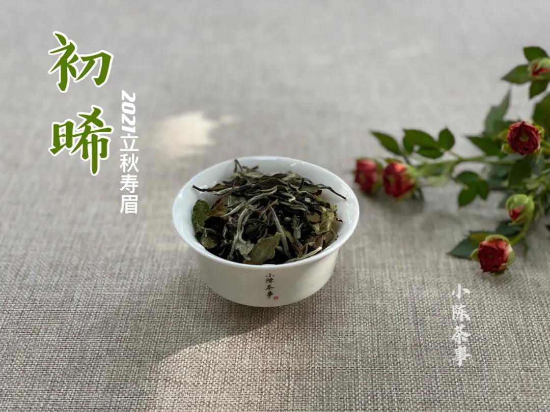 洗茶是浪费，还是衛生？老茶客搬出4个实例，好坏一次性说清