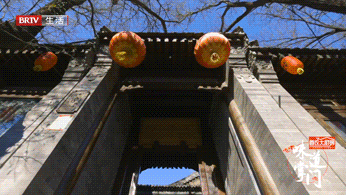 味道掌门 | 醋溜白菜与宫保鸡丁的结合，究竟是什么味儿？