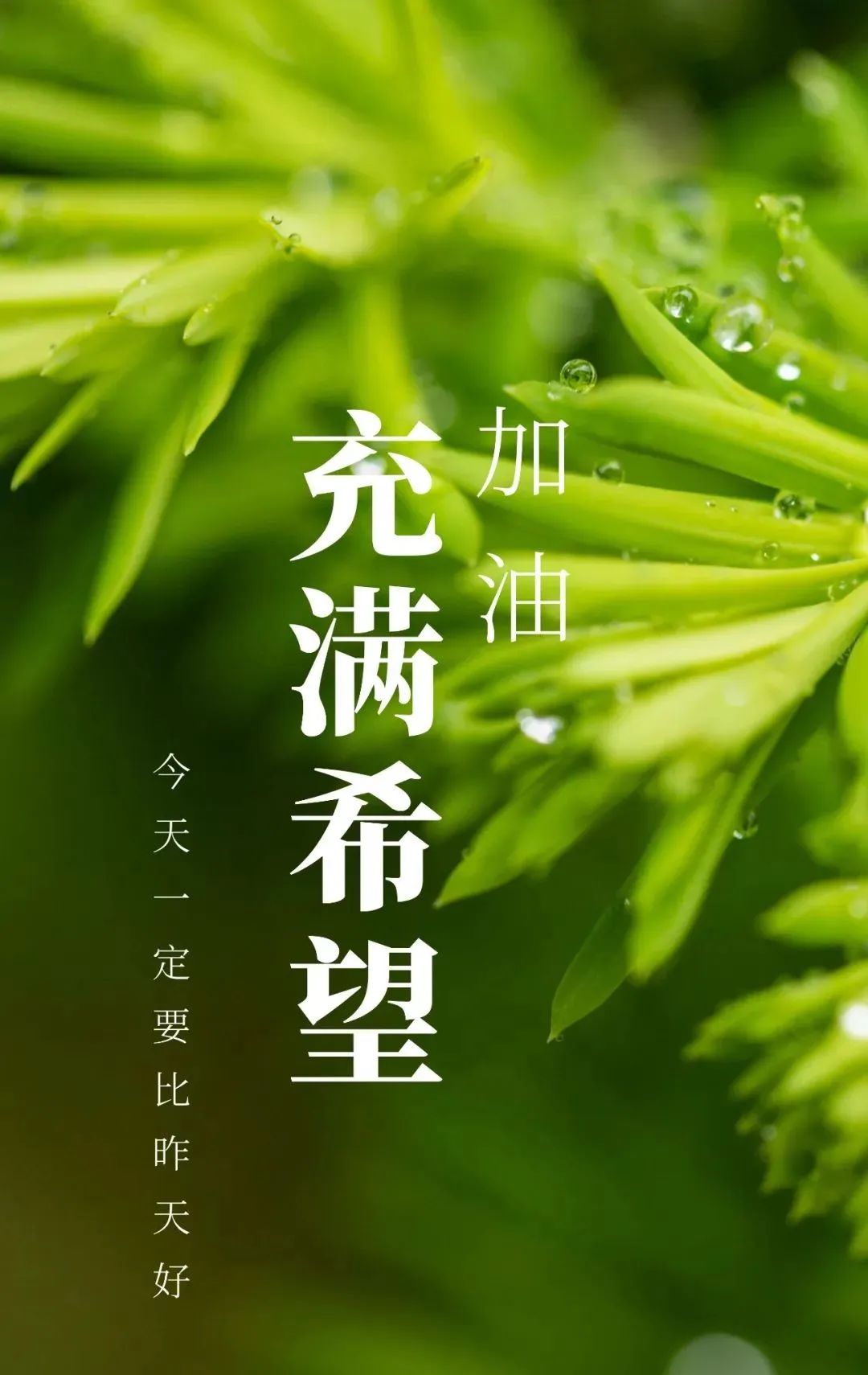 06.14」早安心语,正能量简单语录短句,夏季暖心句子图片