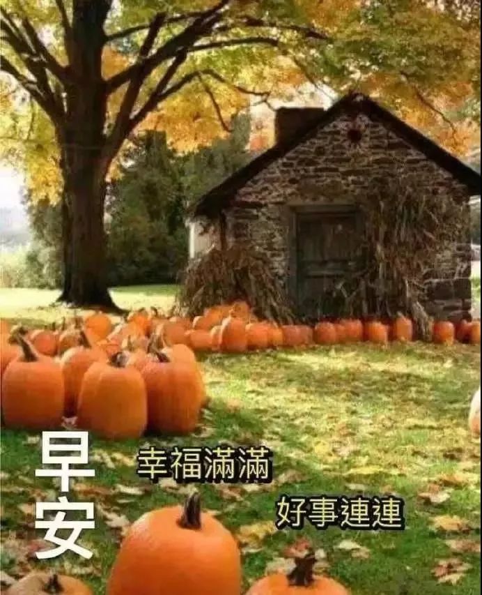 清晨阳光暖心问候早上好表情包集锦 感恩相遇，友情来之不易图片