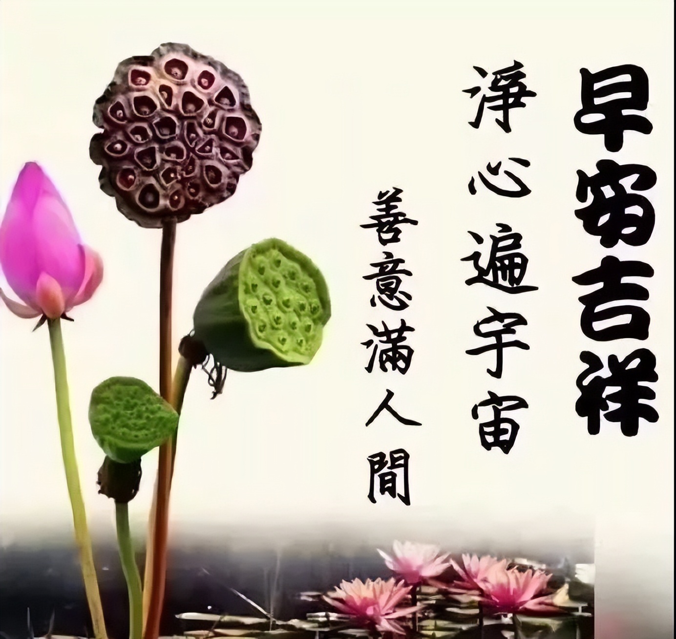 阳光诏安祝福语，不变的祝福，祝你万事如意，好心情伴每一天图片