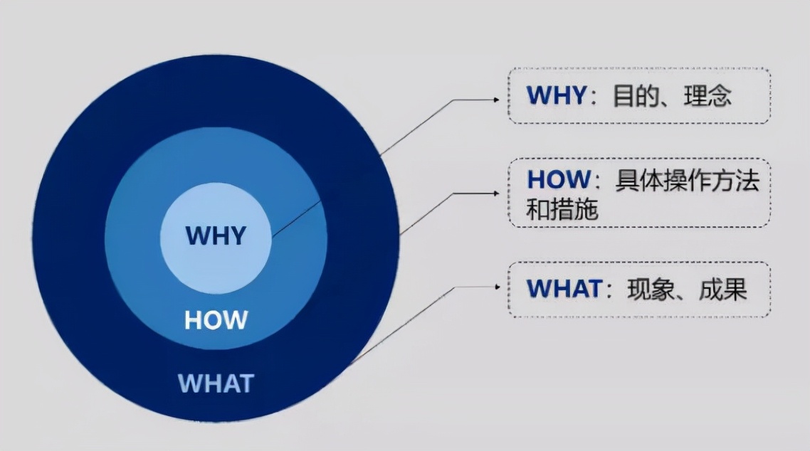 读《放大》：纯素人如何利用小才华成功出圈