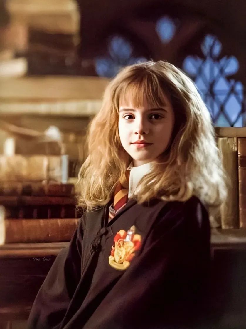 《哈利·波特》主要人物MBTI分析