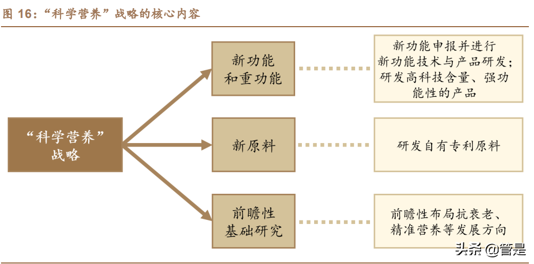 汤臣倍健研究报告：品牌产品渠道皆蓄力，科学营养挂云帆