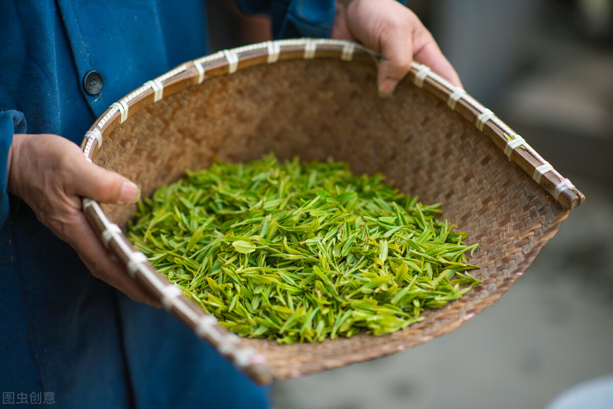 春天喝绿茶，自己喝买多少钱的茶划算？西湖龙井的价格怎么算