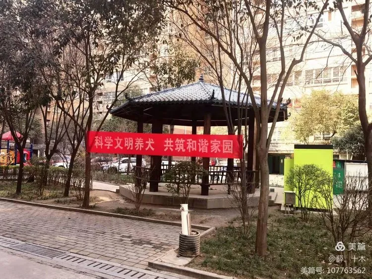 西安市公安局灞桥分局：文明养犬“不掉链”