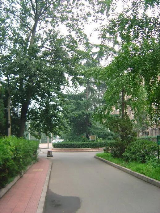 2012年07月08日 回到老地方