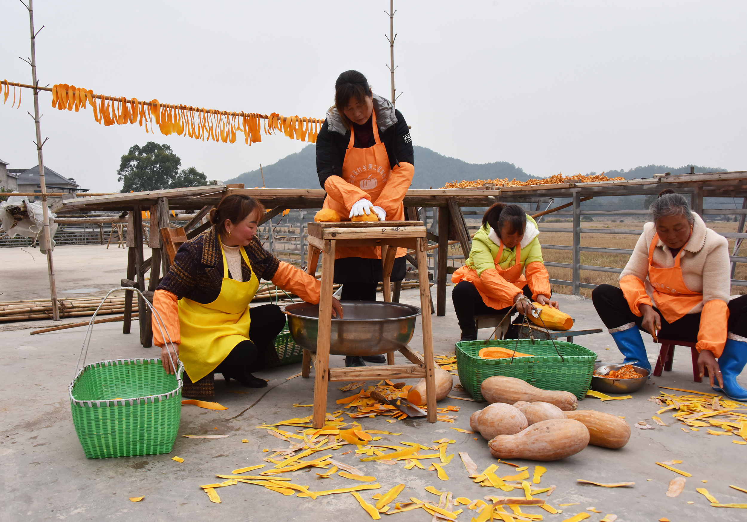 江西德兴：南瓜致富一村人