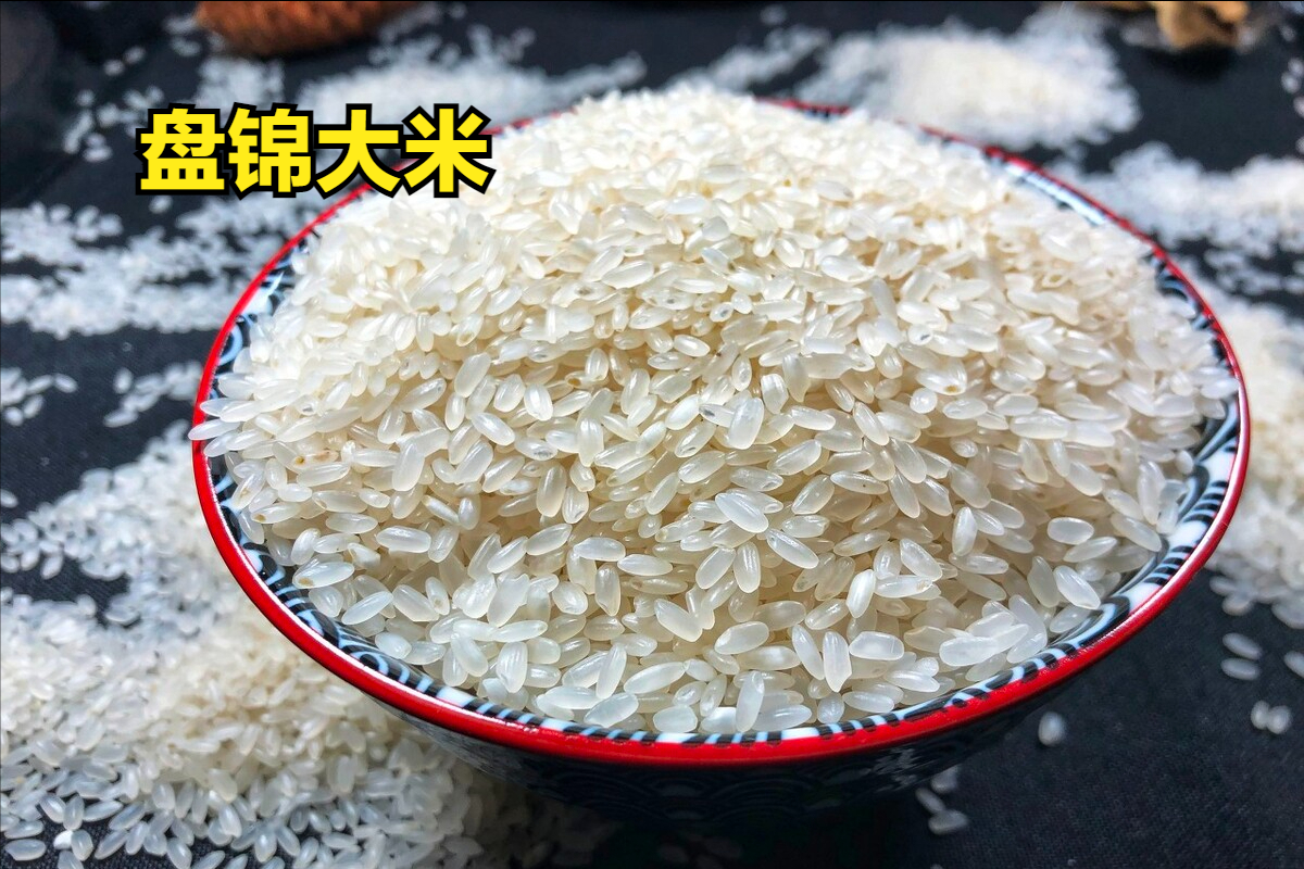 全东北哪里的大米最好吃？请认清这4个产地，营养丰富，米中珍品