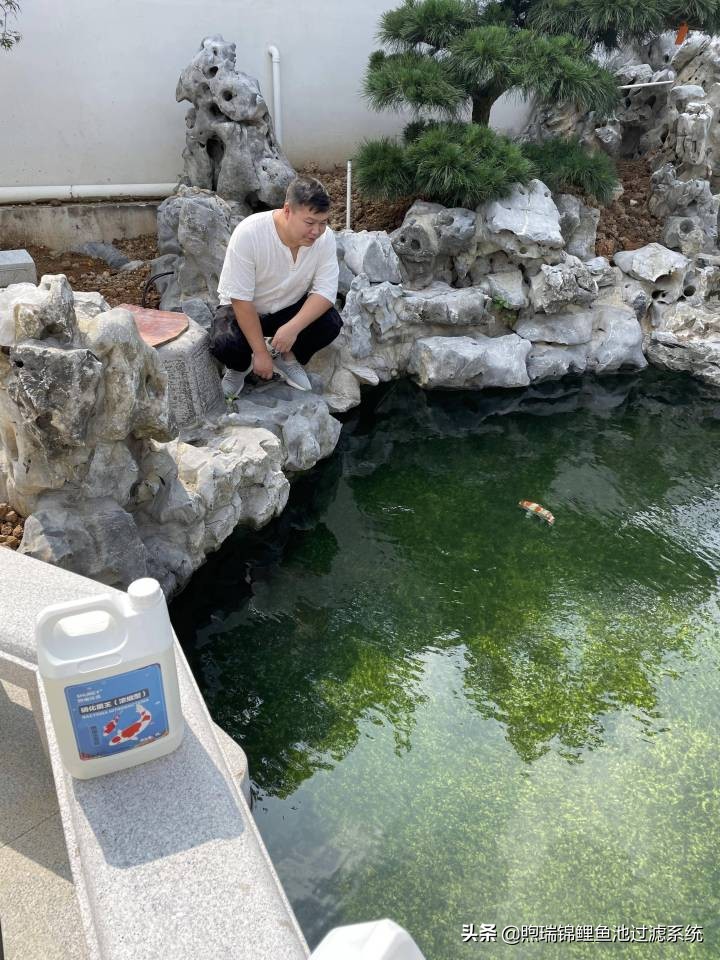 煦瑞生态水如何把拆除的旧池建造成标杆鱼池？鱼池过滤系统揭秘