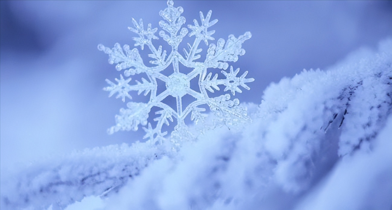 有没有可能这个世界乃至整个宇宙已经轮回了无数次？