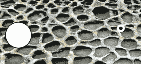 深度长文：意识的本质到底是什么？意识和自我意识是如何产生的？