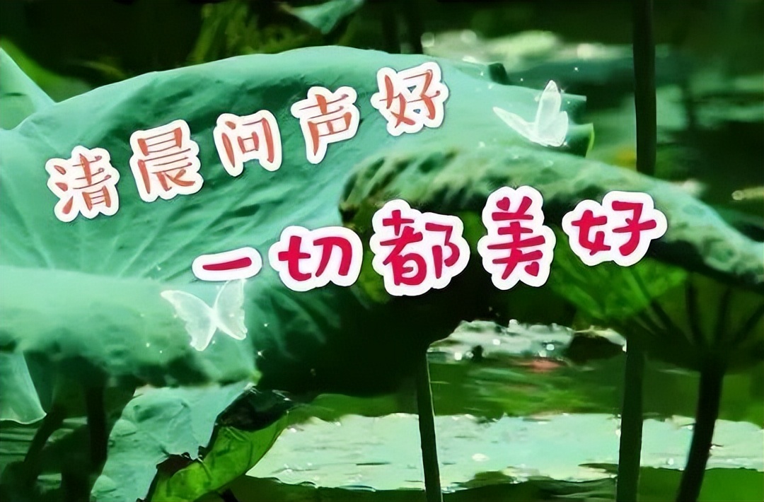 微信早上好祝福动态表情图片，今日早安心语问候短信大全图片