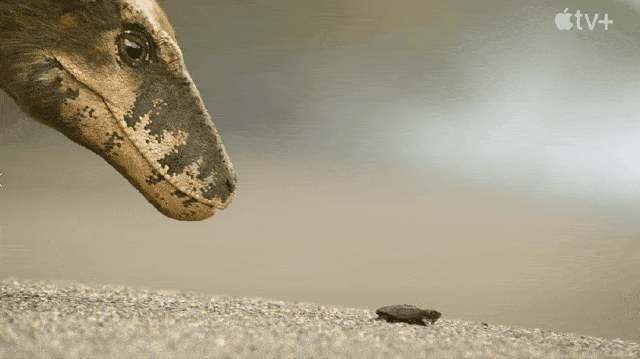 重磅更新！比《侏罗纪世界》还好看的恐龙纪录片终于上映了