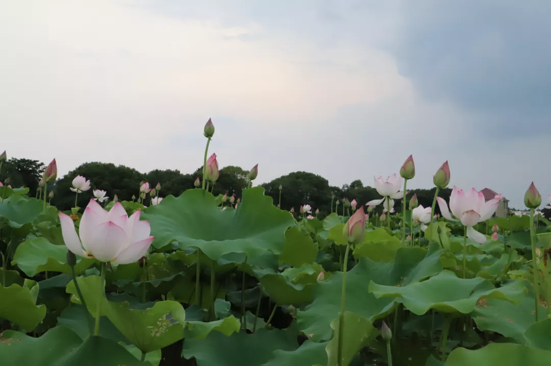 赶集网招聘赣州上犹（#乐乘高铁畅游赣州赣州市博物馆）