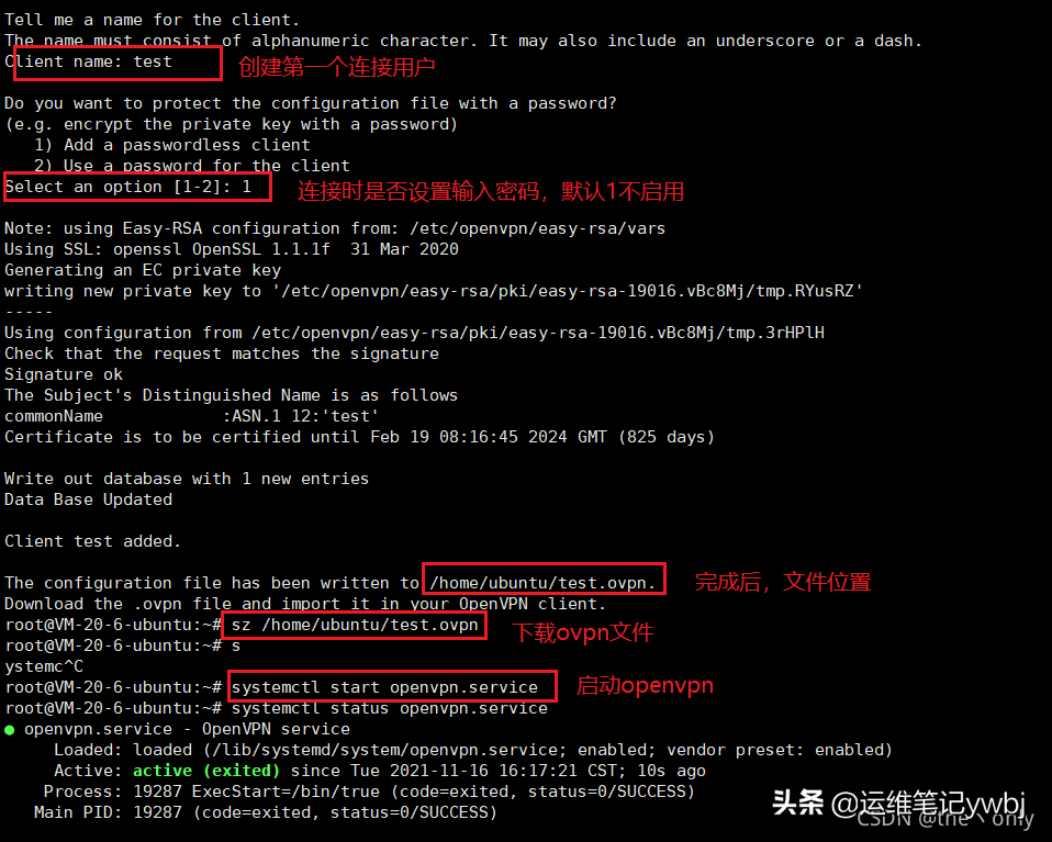 居家或外出办公，使用OpenVPN代理访问公司内网部署