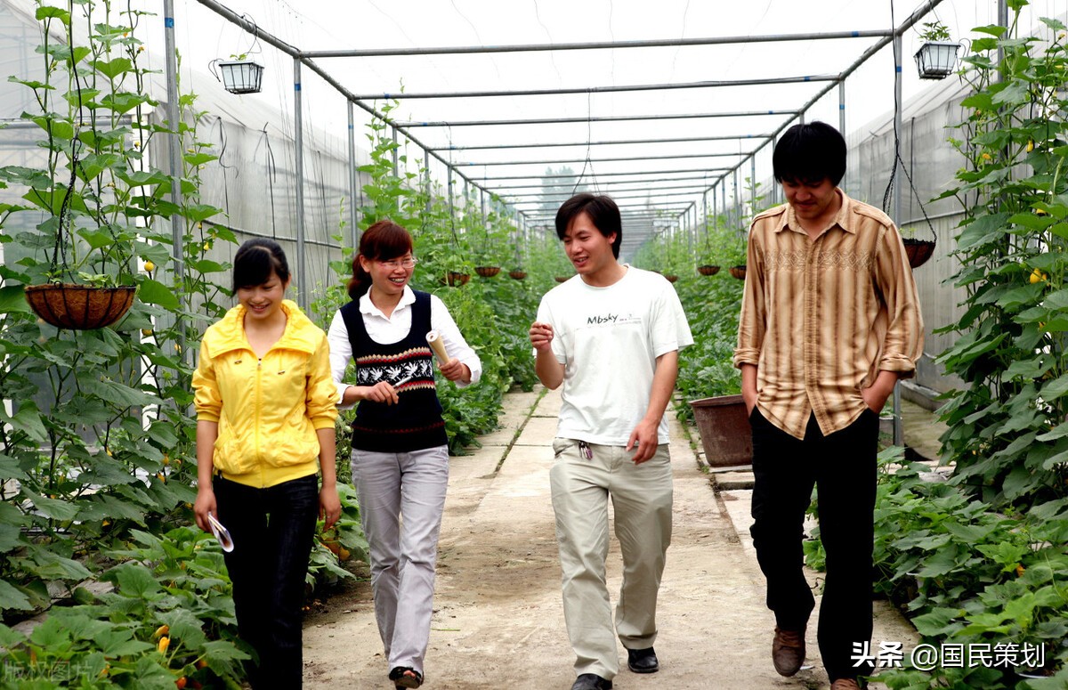 青年失业率再创历史记录，“上山下乡”或将重启，谁会下沉乡村？