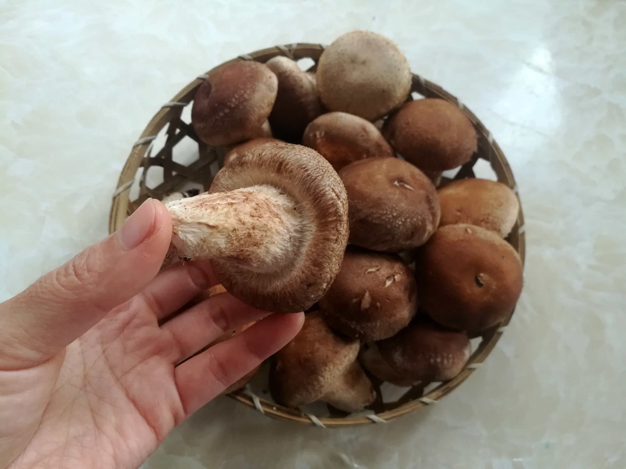 洗香菇不能只用清水,学会3个小妙招,让脏东西虫卵自动跑出来