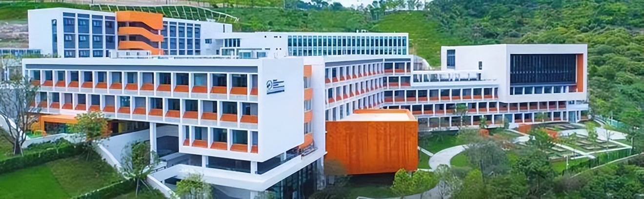 大湾区四所贝赛思学校该怎么选？这是我看过最详细的择校指南