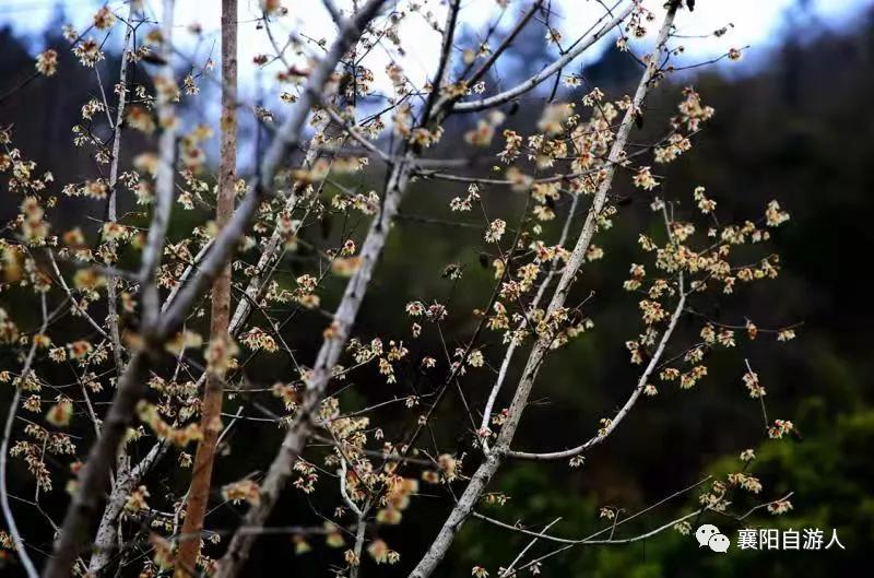 一日观三景 累并快乐着